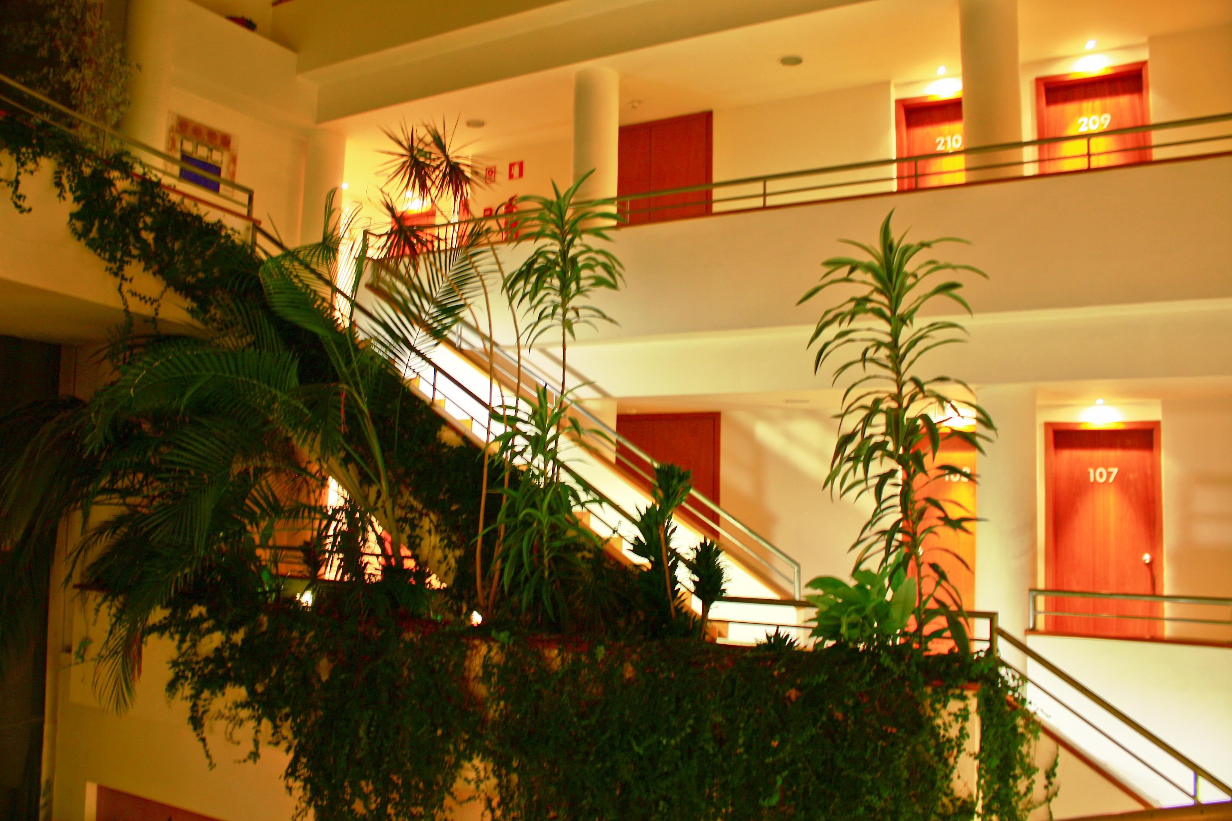 Hotel Das Taipas กิมาไรส์ ภายนอก รูปภาพ